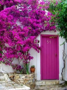 a pink door with purple flowers growing on it