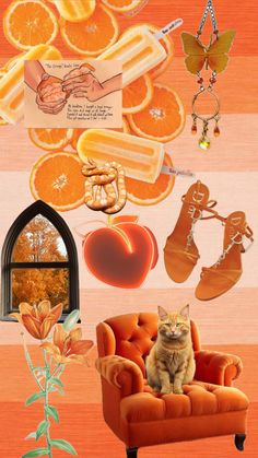 a cat sitting on top of an orange chair in front of a bunch of pictures