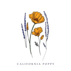 the california poppy logo is shown in yellow and blue, with lavenders on it