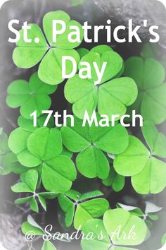 the st patrick's day poster with shamrocks on it and text that reads, st patrick's day 17th march