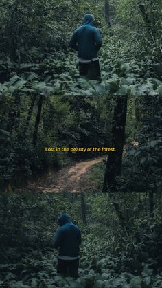 a person walking through the woods in front of trees