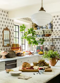 a kitchen filled with lots of food on top of a counter next to a potted plant