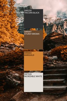 the color palette is brown, black, and white with some yellow trees in the background