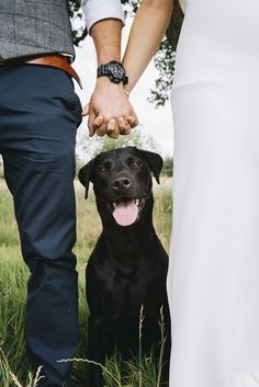 a man and woman holding hands with a black dog sitting next to them in the grass