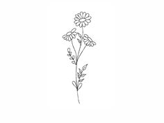 a line drawing of flowers on a white background