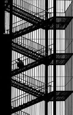 black and white photograph of stairs with bird in cage