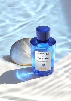 a bottle of acqua parma next to a shell