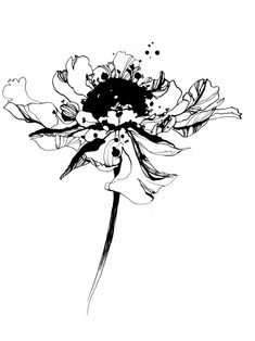 a black and white drawing of a flower