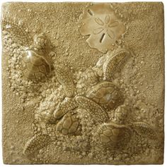 two sea turtles in the sand on a tile