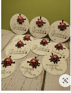 six ladybug magnets are sitting on a table