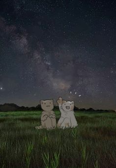 two polar bears are sitting in the grass and looking up at the stars above them