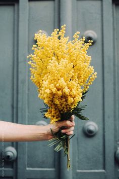 a person holding a bunch of yellow flowers