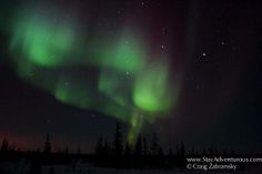 the northern lights shine brightly in the night sky over snow covered trees and evergreens