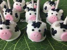 there are many cake pops with cows on them