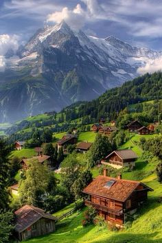 the mountains are covered in green grass and trees, with small houses on each side