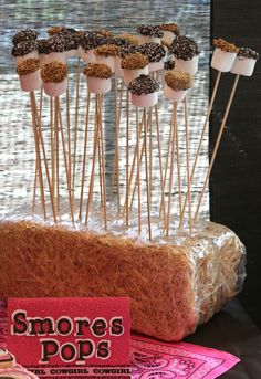 marshmallows are arranged on sticks in front of a sign that says smore's pops