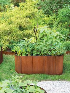 a garden filled with lots of green plants next to tall wooden planters on top of grass