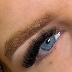 ＭＹＳＡ ＢＥＡＵＴＹ on Instagram: "SET: Russian Volume STYLE: Cat eye PRICE: £63 Using @veyelashofficial lash trays! Use code ‘MYSA10’ to save 10% off your order 🖤 #manchesterlashes #manchestercitycentrelashes #stockportlashes #salfordlashes #lashes #eyelashextensions #beauty #nails #lashtips #lashextensions #lashlayers #lashgoals #lasheducator #volumeextensions #wispylashes #lashqueen #lashartistry #esthetician #handmadevolumefans" Lash Trays, Manchester City Centre, Wispy Lashes, Lash Extension, Esthetician, Lash Extensions, Beauty Nails, Eyelash Extensions