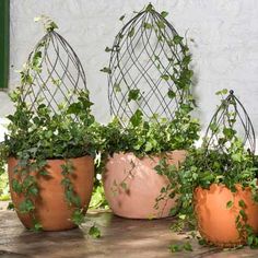 three planters with plants growing out of them