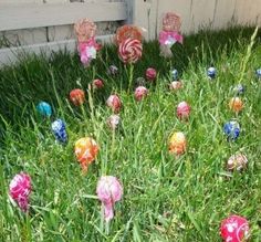 some candy lollipops are in the grass and one is saying, plant jelly beans with your kids the night before easter and after they go to see more