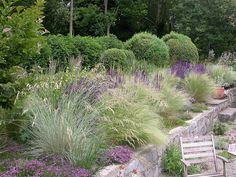 a garden filled with lots of different types of flowers and plants next to a stone wall