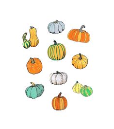 pumpkins are arranged in a circle on a white background, with the colors orange, yellow, and green