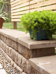 a potted plant sitting on top of a stone step