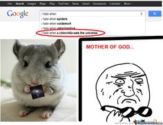 a computer screen with an image of a mouse and the caption mother of god