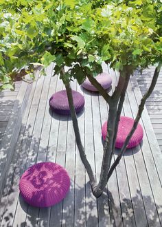 an image of a tree and some pink cushions on the ground with text that reads, the great outdoorss