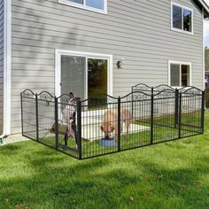 a dog is standing in front of a fence with its head inside the gate and another dog behind it