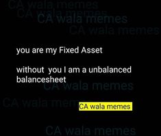 the text on the screen reads, you are my fixed asset without you am unbalanceed balance sheet ca waa memes