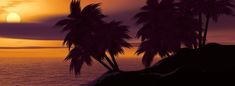 two palm trees are silhouetted against an orange and purple sunset over the ocean in this digital painting