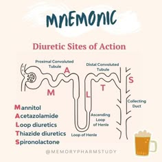 the different stages of mening and how they are used to treat them for their health benefits