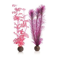 two vases with pink flowers and pinecones on white background, side by side