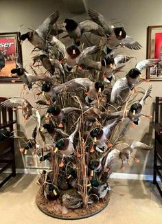 a bunch of birds that are sitting on some branches in a room with pictures behind them