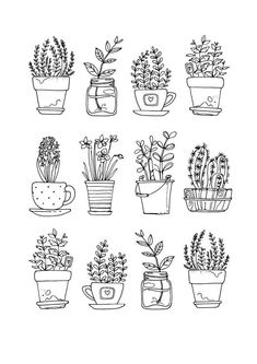 hand drawn potted plants and succulents