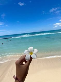 a person's hand holding a flower on the beach