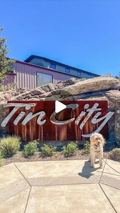 a dog standing in front of a sign that says the city