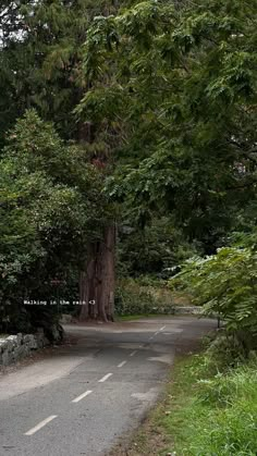 an image of a road in the woods