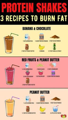 the health benefits of protein shakes