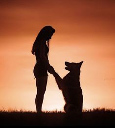 a woman and her dog are silhouetted against an orange sky