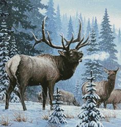 cross stitch pattern of elk in the snow with pine trees and evergreens behind them