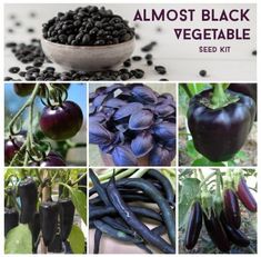 several pictures of different types of vegetables and plants with the words almost black vegetable seed kit