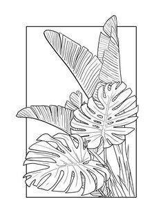 a black and white drawing of tropical plants in a square frame on a white background