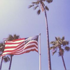 an american flag flying next to palm trees