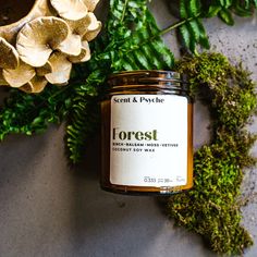 a jar of forest honey next to some plants