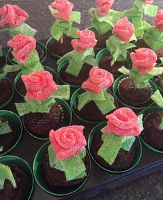 small cupcakes with frosting and flowers in them