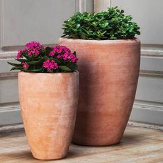 two potted plants sitting on top of a wooden table