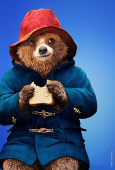 a brown bear wearing a blue coat and red hat holding a piece of bread in his hands