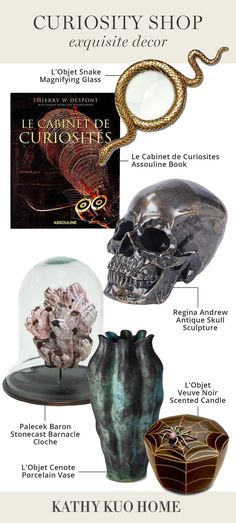 spooky, chic, luxe halloween decor and specialty items from Kathy Kuo Home Styling A Bookshelf, Exquisite Decor, Cabinet Of Curiosities, Masculine Style